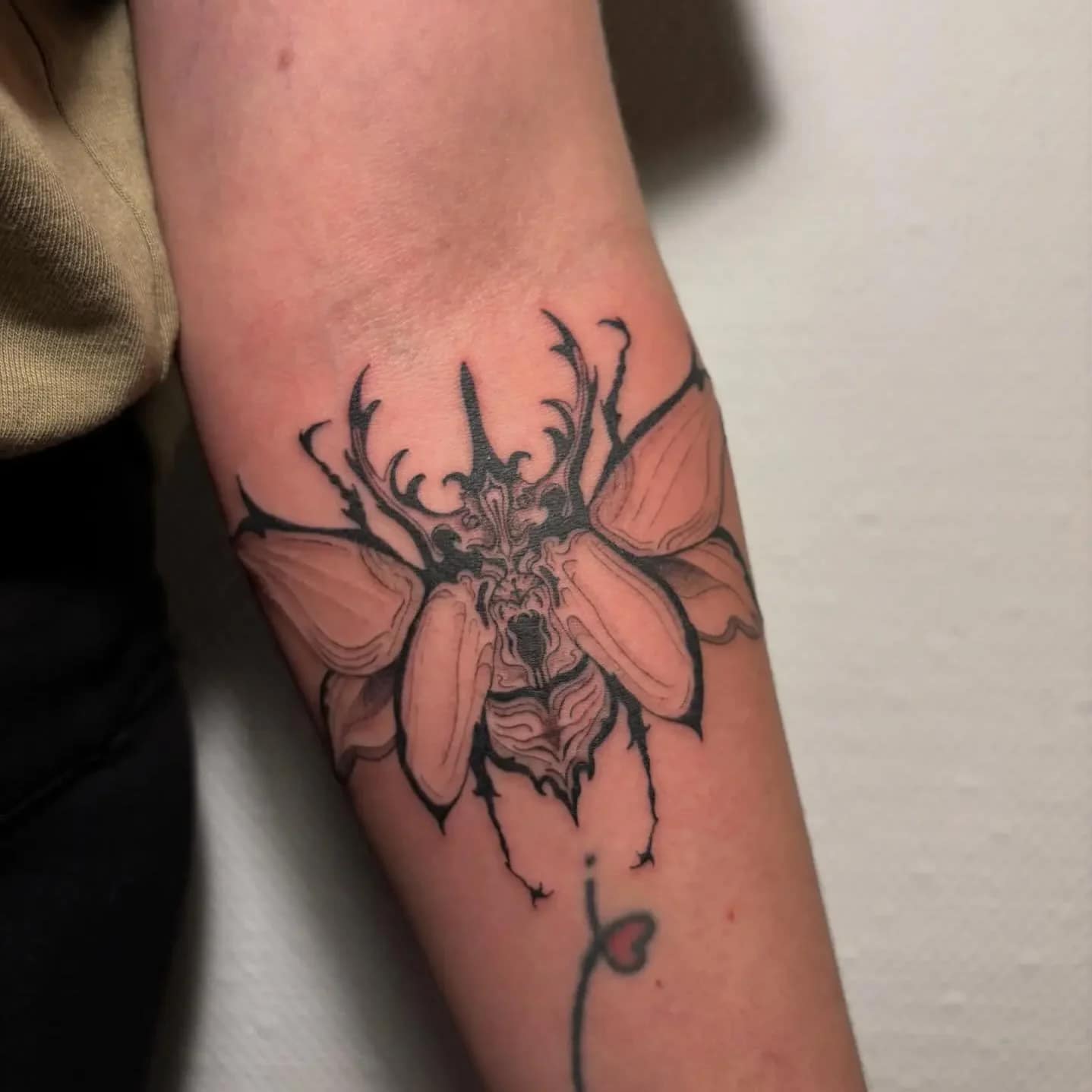 lukas-darkart-insect