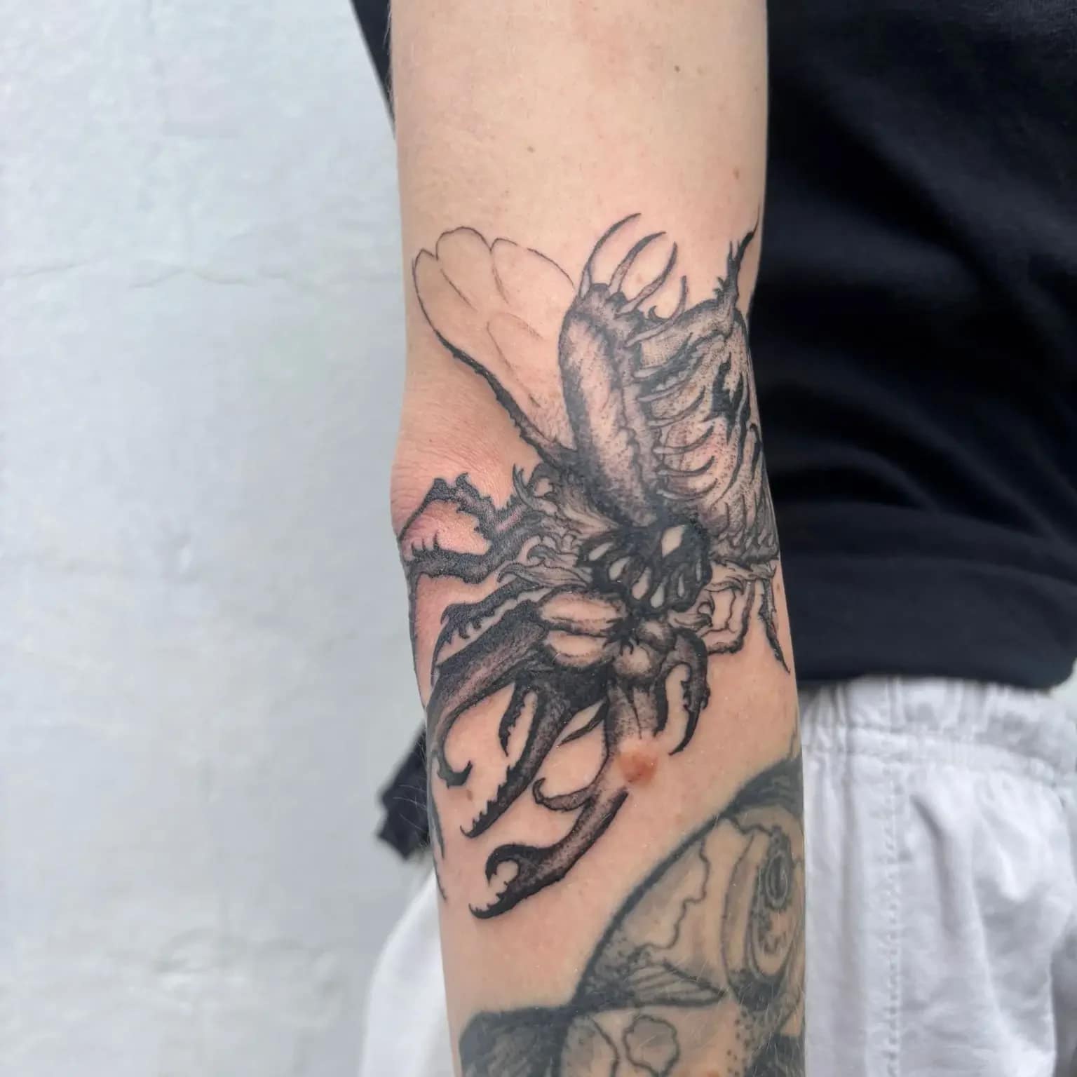 lukas-dark-art-insect-beetle-tattoo-berlin